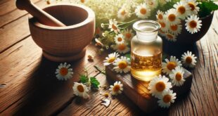 How to Make Your Own Herbal Tinctures and Medicines